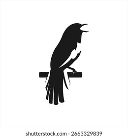 Diseño de logotipo de pájaro. Concepto de Vector personalizado