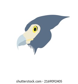 bird logo eagle head logo illustration grey bird with yellow face new