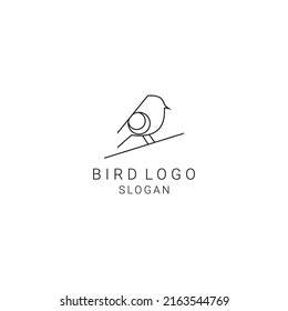 Vector de diseño de icono del logotipo de aves 