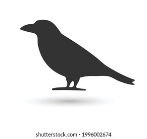 bird logo icon designs vector
