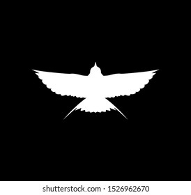 bird logo illustration grapich vector commercial use