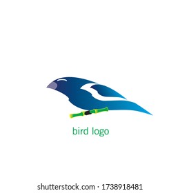 Bird Logo Images Design Vector