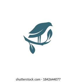 Bird logo images illustration design