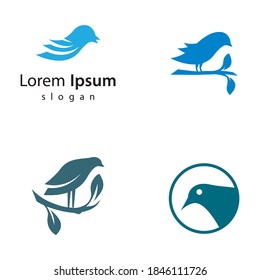 Bird logo images illustration design