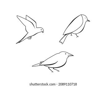 bird logo line art vector illustration 