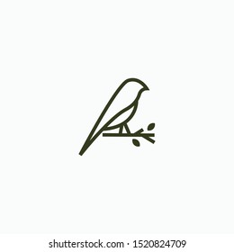 Bird Logo with Line Style Design Template. Modern, Minimalist, Elegant Vector