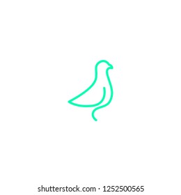 bird logo in line style. dove logo template. pigeon logo