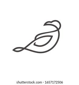 bird logo with Line style vector template