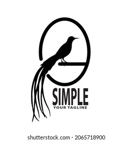 Bird logo. Minimalist logo design. Creative logos. Beautiful and simple elements.