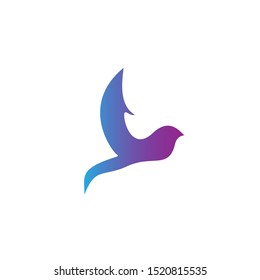 Bird logo with modern concept. Bird icon design