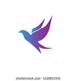 Bird logo with modern concept. Bird icon design
