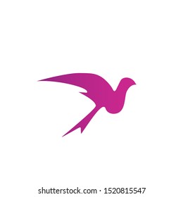 Bird logo with modern concept. Bird icon design