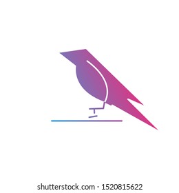 Bird logo with modern concept. Bird icon design