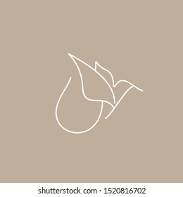 Bird logo with modern concept. Bird icon design