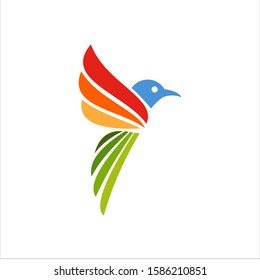 bird logo modern vector graphic