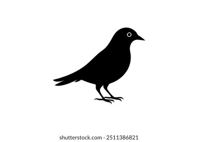 bird logo silhouette vector illustration 