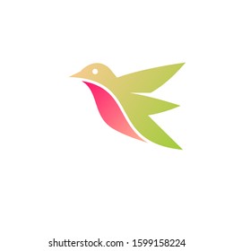 bird Logo symbol and icon Template vector