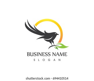 Bird logo and symbols
