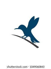 bird logo template
