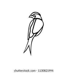 bird logo template