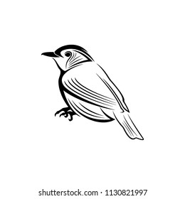 bird logo template