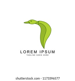 bird logo template 