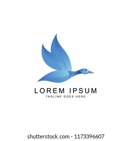 bird logo template 
