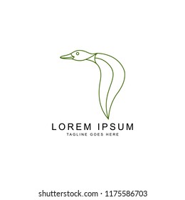 bird logo template