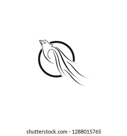 bird logo template