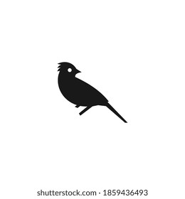 Bird logo template, animal design vector icon illustration