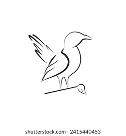 bird logo, bird template, bird design outline style