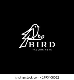 Bird Logo Template In Isolated Black Background Vector Illustration