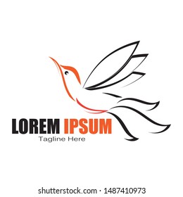  bird Logo Template vector design