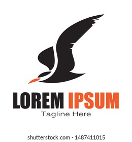  bird Logo Template vector design