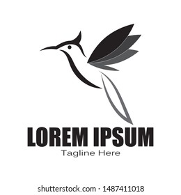  bird Logo Template vector design