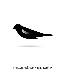 Bird Logo Template vector design, Bird Icon Design.