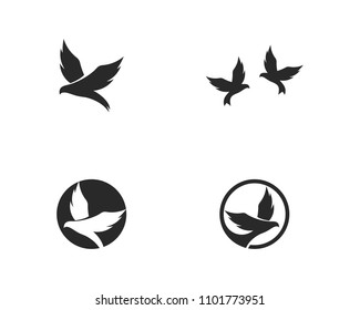 Bird  Logo Template vector illustration