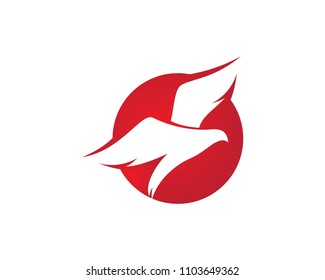 Bird Logo Template vector illustration