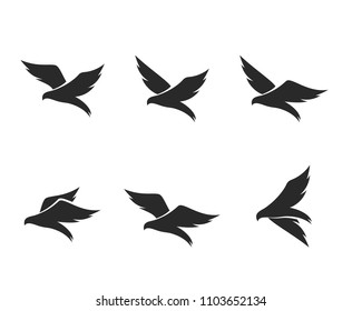 Bird Logo Template vector illustration