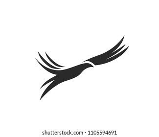 Bird Logo Template vector illustration