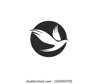 Bird Logo Template vector illustration