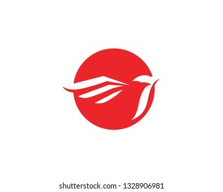 Bird Logo Template vector illustration
