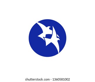 Bird Logo Template vector illustration - Vector