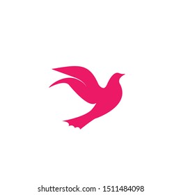 Bird Logo Template vector illustration