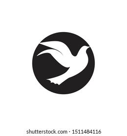 Bird Logo Template vector illustration