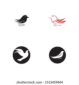 Bird Logo Template vector illustration
