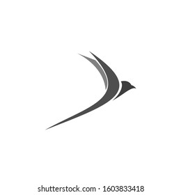 Bird Logo Template vector illustration design