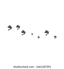 Bird Logo Template vector illustration