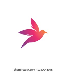 Bird Logo Template vector illustration