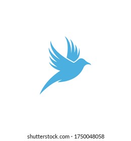 Bird Logo Template vector illustration